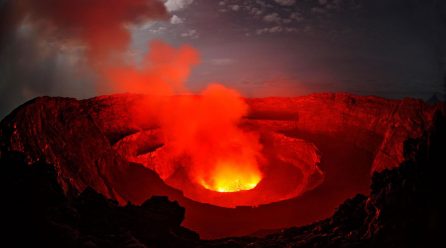 Best Places to Go Congo Safaris