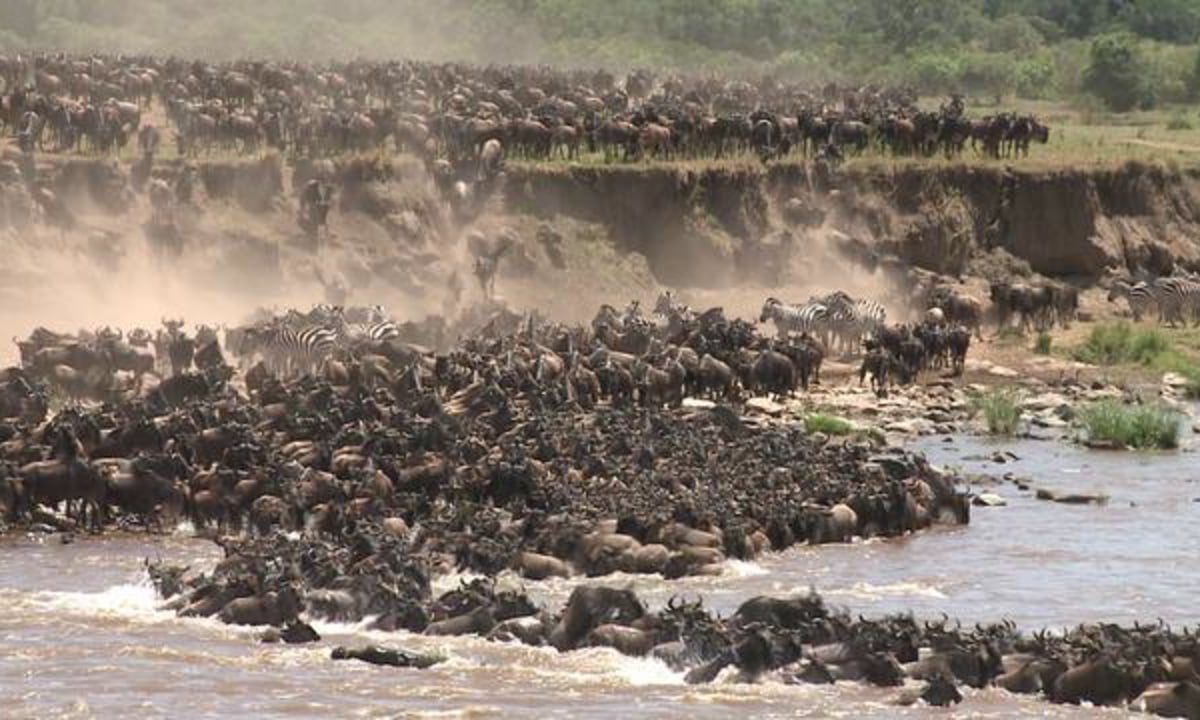 Best Kenya Travel Destinations in 2022