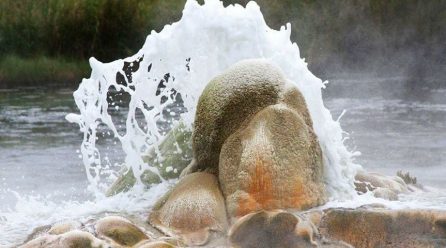 Visit Semliki National Park in Uganda