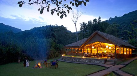 Sanctuary Retreats: Gorilla Forest Camp – Bwindi